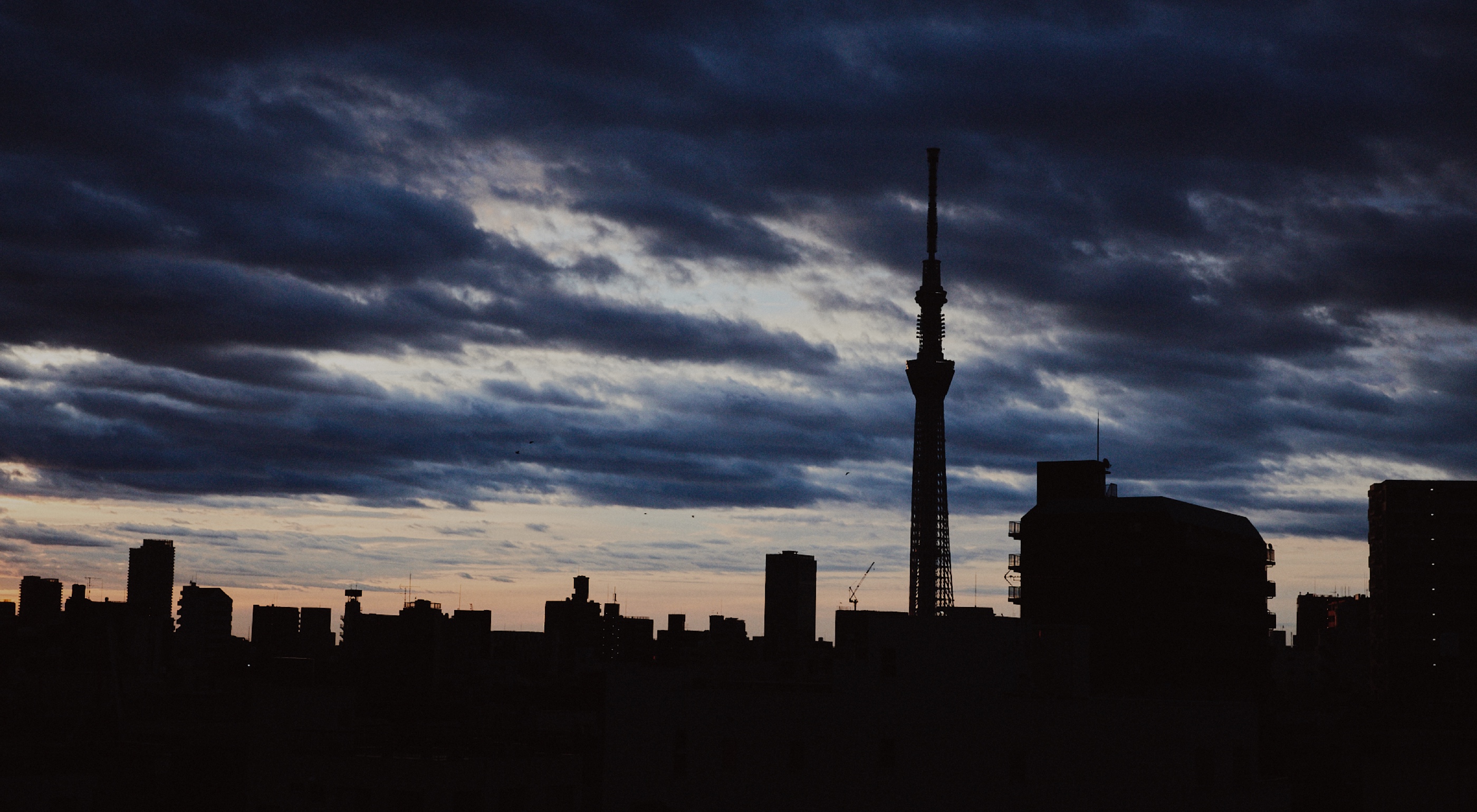 Tokyo island “Hachijojima” Great nature’s comfort on tropical island in Tokyo