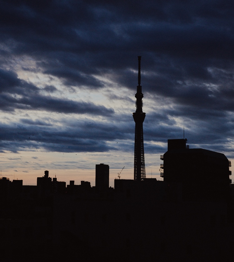Tokyo island “Hachijojima” Great nature’s comfort on tropical island in Tokyo