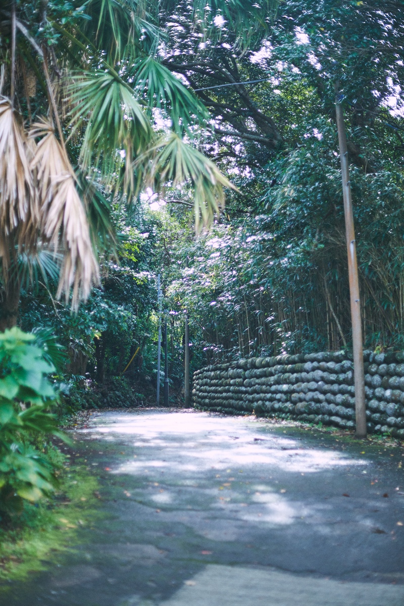 A road in Hachijojima